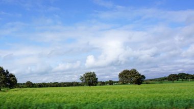 Kenya 'daki kırsal alanların bulanık görüntüsü, mavi gökyüzü ve beyaz bulutlu yeşil alanlar