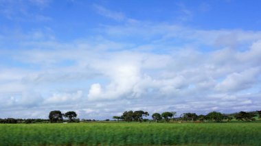 Kenya 'daki kırsal alanların bulanık görüntüsü, mavi gökyüzü ve beyaz bulutlu yeşil alanlar