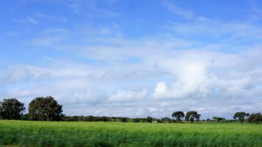 Kenya 'daki kırsal alanların bulanık görüntüsü, mavi gökyüzü ve beyaz bulutlu yeşil alanlar