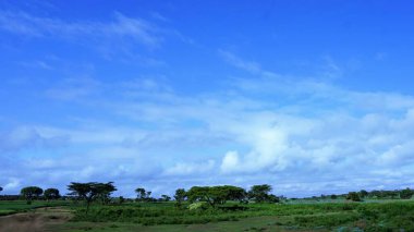 Kenya 'daki kırsal alanların bulanık görüntüsü, mavi gökyüzü ve beyaz bulutlu yeşil alanlar