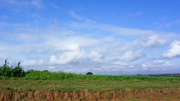 Image Floue Des Paysages Ruraux Kenya Champs Verts Avec Ciel — Photo