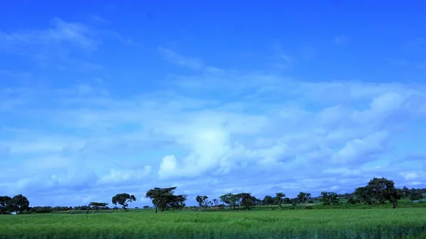 肯尼亚农村景观 蓝天绿地和白云模糊的图像 — 图库照片