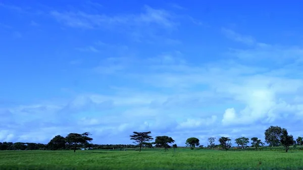 Rozmazaný Obraz Venkovské Krajiny Keni Zelená Pole Modrou Oblohou Bílé — Stock fotografie