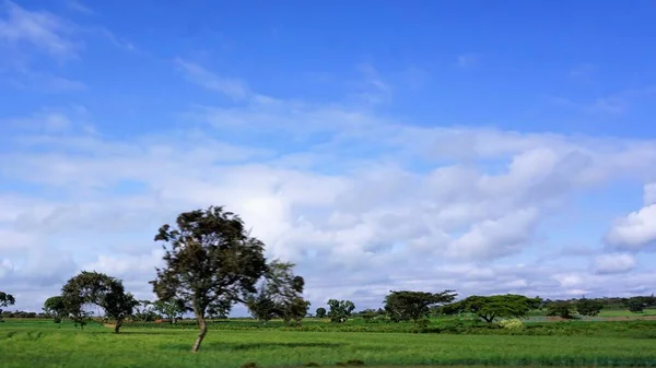 Imagen Borrosa Paisajes Rurales Kenia Campos Verdes Con Cielo Azul — Foto de Stock