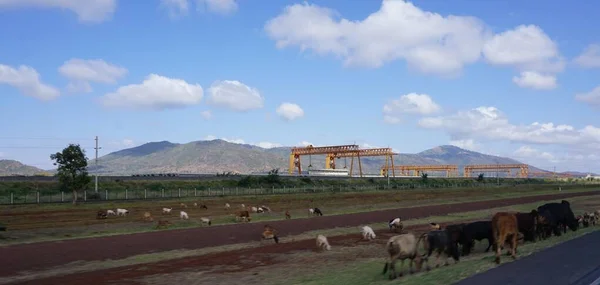 Amboseli Nairobi Naivasha Route Kenya Africa Luglio 2019 Gru Arco — Foto Stock
