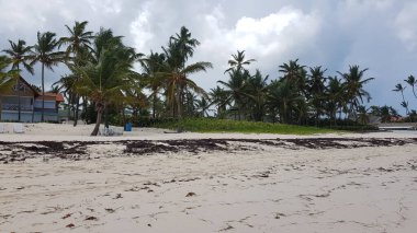 Dominik Cumhuriyeti 'ndeki Punta Cana, Playa Bavaro plajlarının manzarası. Karayip tatil kavramı.