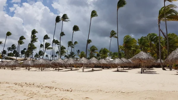 Krajina Pláži Punta Cana Playa Bavaro Dominikánské Republice Karibik Dovolená — Stock fotografie