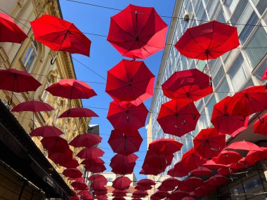 Sırbistan 'da Belgrad' da sokakta asılı kırmızı şemsiyeler