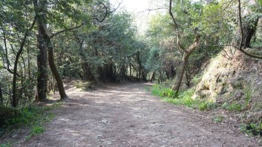 Donostia 'dan Pasaia' ya yürümek için toprak yol.