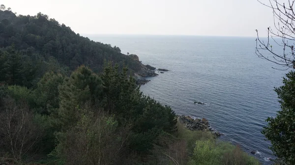 Landschaft Der Küste Des Baskenlandes — Stockfoto