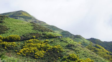 Güneyden kuzeye geçerken Madeira dağlarının yeşil ve sarı manzarası
