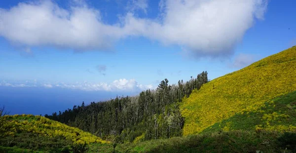 Paisagem Verde Amarela Nas Montanhas Madeira Atravessá Las Sul Norte — Fotografia de Stock