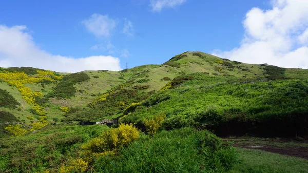 Paisagem Verde Amarela Nas Montanhas Madeira Atravessá Las Sul Norte — Fotografia de Stock