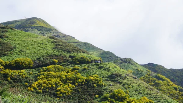 南から北へ横断する際にマデイラ山脈の緑と黄色の風景は — ストック写真