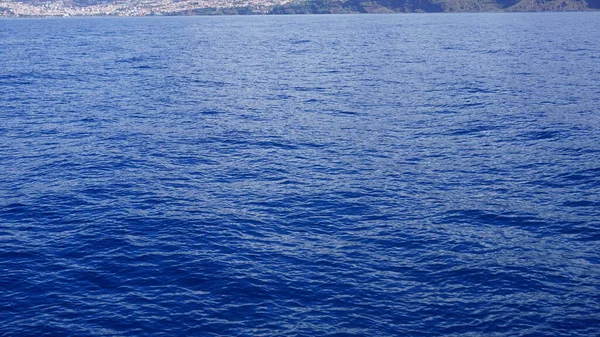 Wal Und Delfinbeobachtung Auf Der Wunderschönen Insel Madeira Wilder Flaschendelfin — Stockfoto