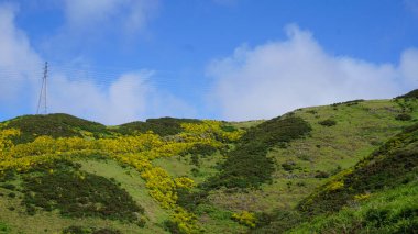 Dağlık arazi. Queimadas Orman Parkı 'ndaki dağların manzarası Caldeirao Verde yolu. Madeira Adası, Portekiz, Avrupa.
