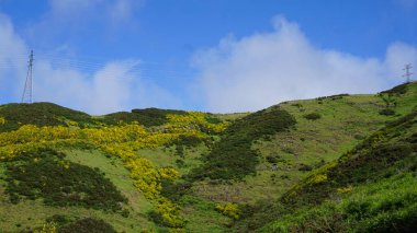 Dağlık arazi. Queimadas Orman Parkı 'ndaki dağların manzarası Caldeirao Verde yolu. Madeira Adası, Portekiz, Avrupa.