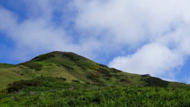 Dağlık arazi. Queimadas Orman Parkı 'ndaki dağların manzarası Caldeirao Verde yolu. Madeira Adası, Portekiz, Avrupa.