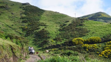 Dağlık arazi. Queimadas Orman Parkı 'ndaki dağların manzarası Caldeirao Verde yolu. Madeira Adası, Portekiz, Avrupa.