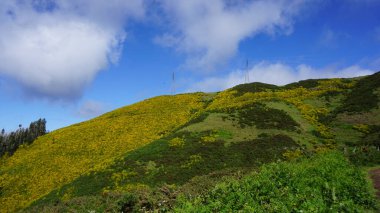 Dağlık arazi. Queimadas Orman Parkı 'ndaki dağların manzarası Caldeirao Verde yolu. Madeira Adası, Portekiz, Avrupa.