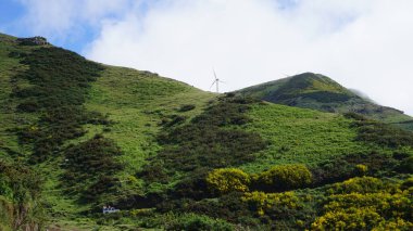 Dağlık arazi. Queimadas Orman Parkı 'ndaki dağların manzarası Caldeirao Verde yolu. Madeira Adası, Portekiz, Avrupa.