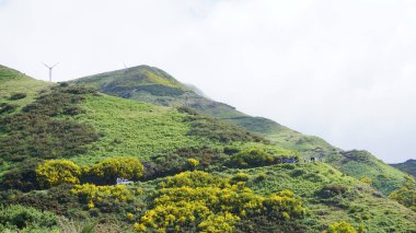 Dağlık arazi. Queimadas Orman Parkı 'ndaki dağların manzarası Caldeirao Verde yolu. Madeira Adası, Portekiz, Avrupa.