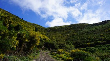 Dağlık arazi. Queimadas Orman Parkı 'ndaki dağların manzarası Caldeirao Verde yolu. Madeira Adası, Portekiz, Avrupa.