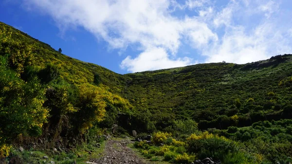 Berglandschaft Blick Auf Die Berge Auf Der Route Queimadas Forest — Stockfoto