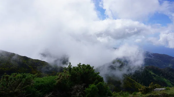 山岳地帯だ キミマダス森林公園の山々の眺め Caldeirao Verdeルート マデイラ島 ポルトガル ヨーロッパ — ストック写真