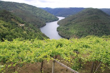 Cabo do Mundo Minho, Lugo (İspanya)