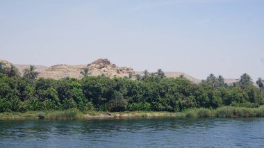 Mısır 'daki Nil Nehri kıyısının manzarası