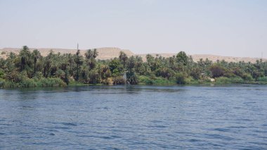 Mısır 'daki Nil Nehri kıyısının manzarası
