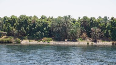 Landscape of the bank of the Nile River in Egypt