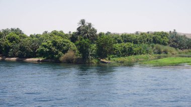 Mısır 'daki Nil Nehri kıyısının manzarası