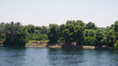 Mısır 'daki Nil Nehri kıyısının manzarası