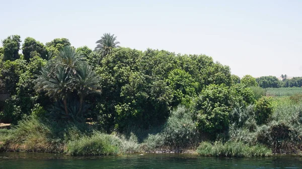 Landscape Bank Nile River Egypt — стокове фото