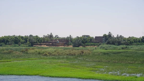 Landscape Bank Nile River Egypt — Fotografia de Stock