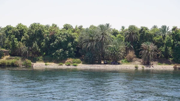 Landscape Bank Nile River Egypt — Stock fotografie