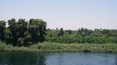 Mısır 'daki Nil Nehri kıyılarının manzarası