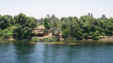 Mısır 'daki Nil Nehri kıyılarının manzarası