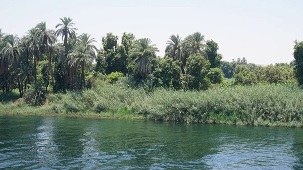 Mısır Daki Nil Nehri Kıyılarının Manzarası — Stok fotoğraf