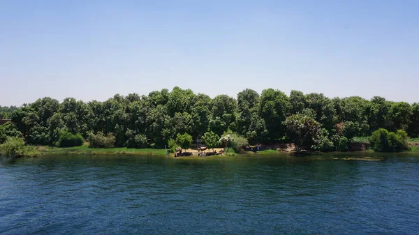 Mısır Daki Nil Nehri Kıyılarının Manzarası — Stok fotoğraf