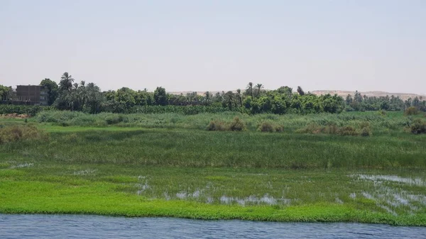Landscape of the banks of the Nile River in Egypt