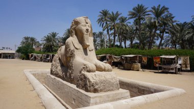 Sphinx statue of Queen Hatshepsut in the ancient city of Memphis, Egypt