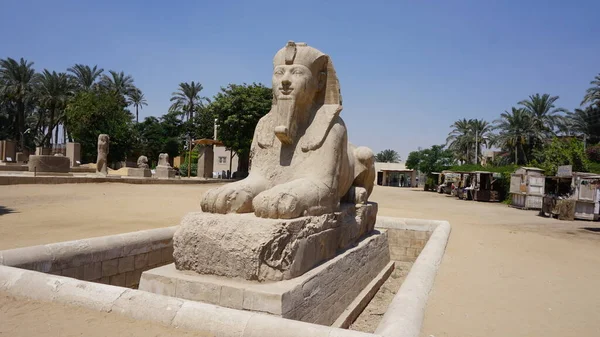 Sphinx Statue Queen Hatshepsut Ancient City Memphis Egypt — Stockfoto