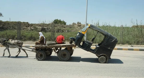 Memphis Egypt July 2022 Towing Tuk Tuk Donkey Cart — стоковое фото