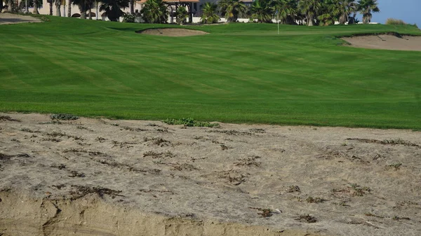 View Golf Course Los Cabos Baja California Del Sur Mexico — Foto de Stock