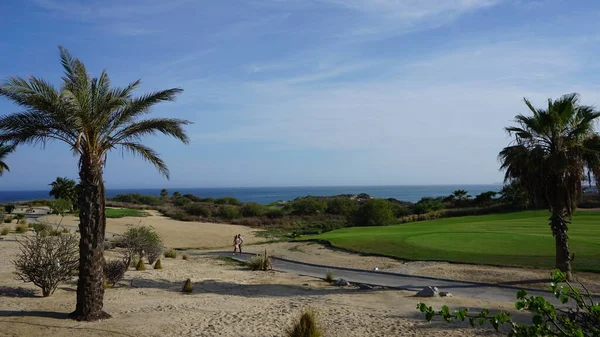 View Golf Course Los Cabos Baja California Del Sur Mexico — ストック写真