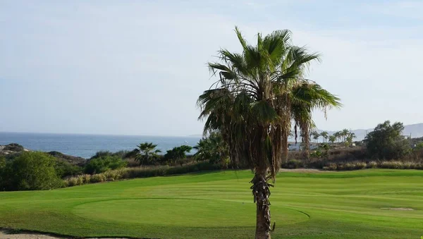 View Golf Course Los Cabos Baja California Del Sur Mexico — Foto de Stock