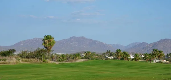 View Golf Course Los Cabos Baja California Del Sur Mexico — Foto de Stock